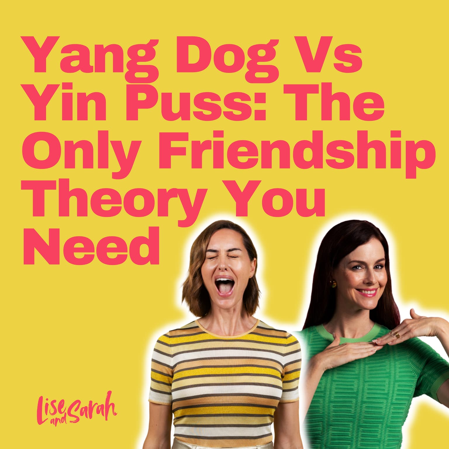 Yang Dog Vs Yin Puss: The Only Friendship Theory You Need artwork