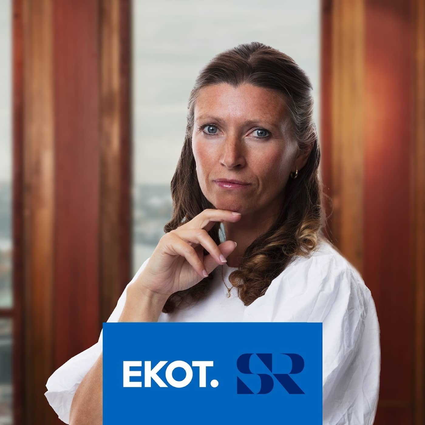 Varför ökar de svenska matpriserna mer än i andra länder? artwork