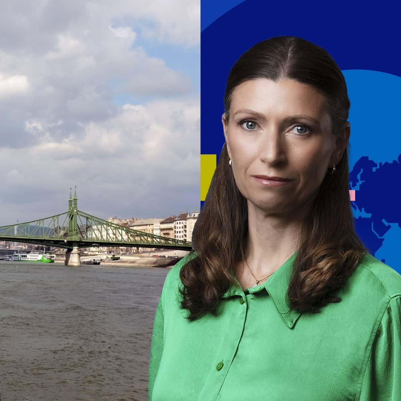 Så styrs ungersk politik av ekonomin artwork