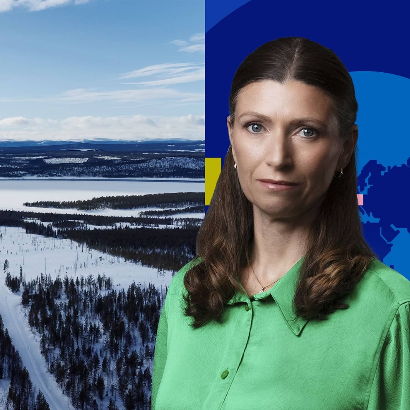 Jakten på råvarorna: gruvboom, stormaktskonflikter och proxykrig artwork