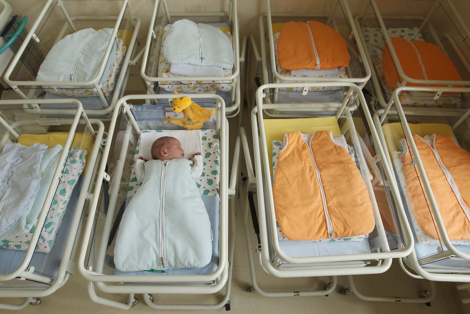 Let's make babies: The coming population crisis artwork