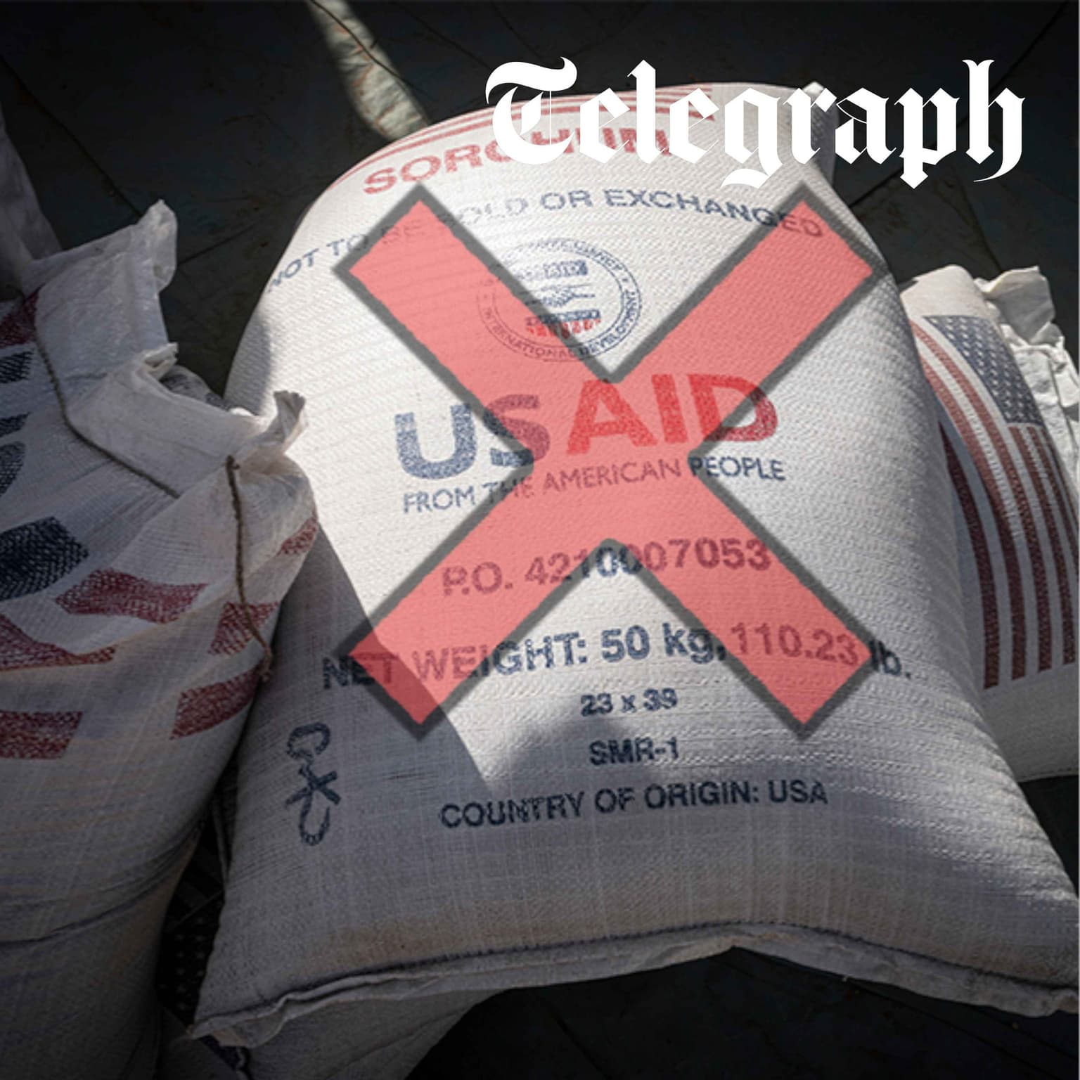 Trump’s 9 million death gamble: One year since he axed USAID artwork