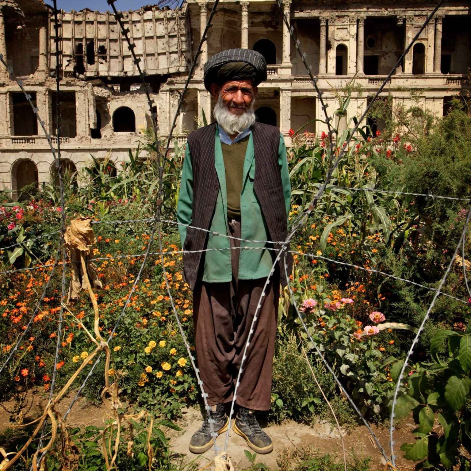 Gardening in war artwork
