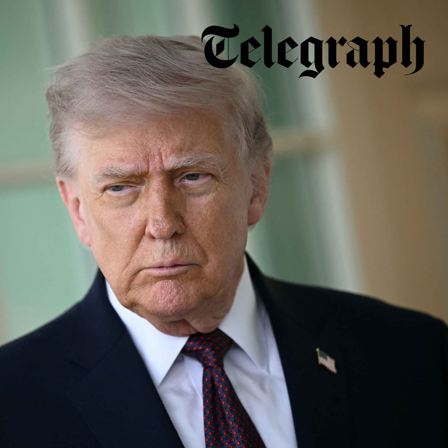 ‘Trump is wrong - Iran’s regime is not split over this war’ artwork