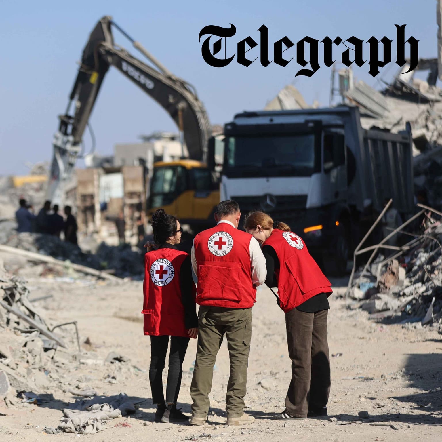 The battle to make Gaza healthy again artwork