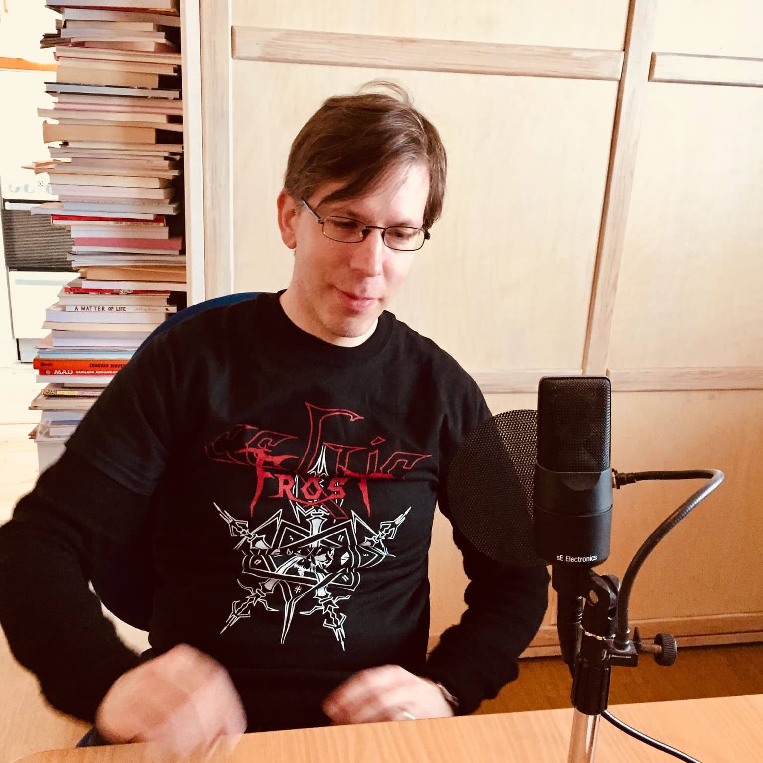 294. David Liljemark får en häst artwork