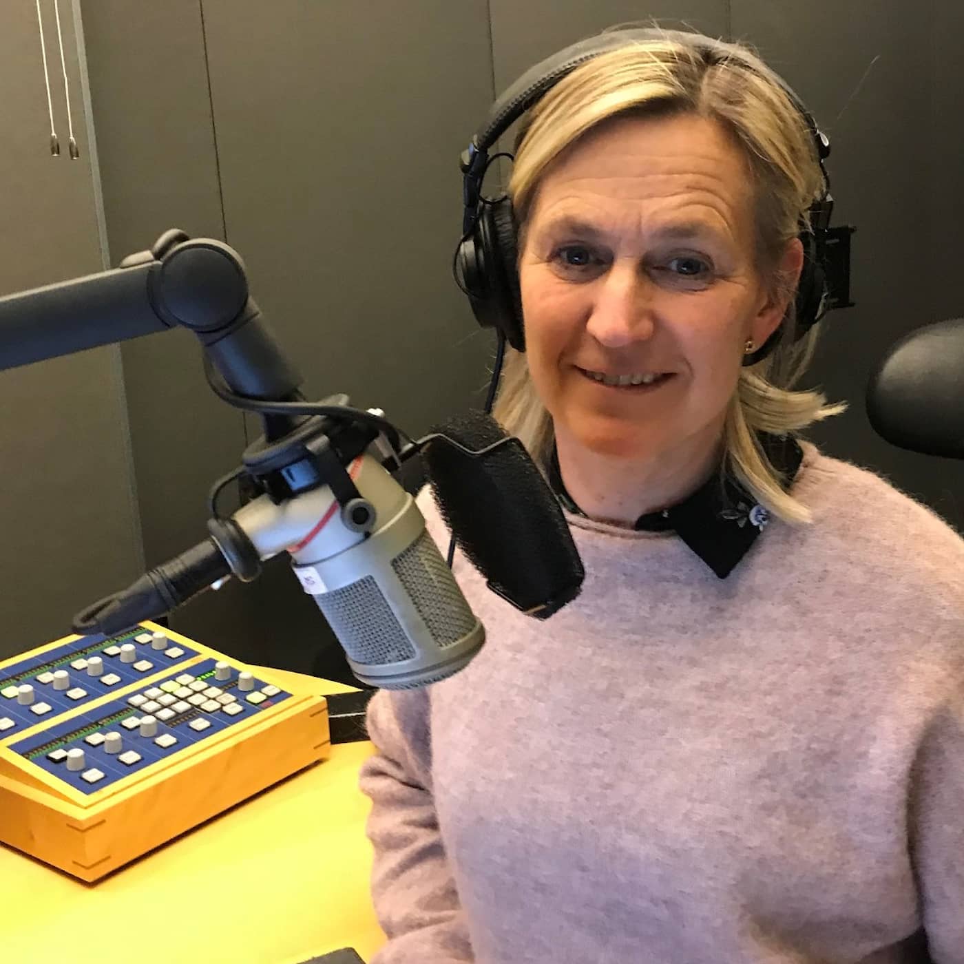 Carina Holmberg om gränshandel och motsättningar mellan norrmän och svenskar artwork