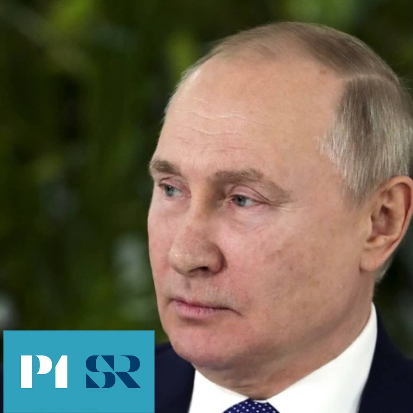 Det skulle kunna stoppa Putin artwork
