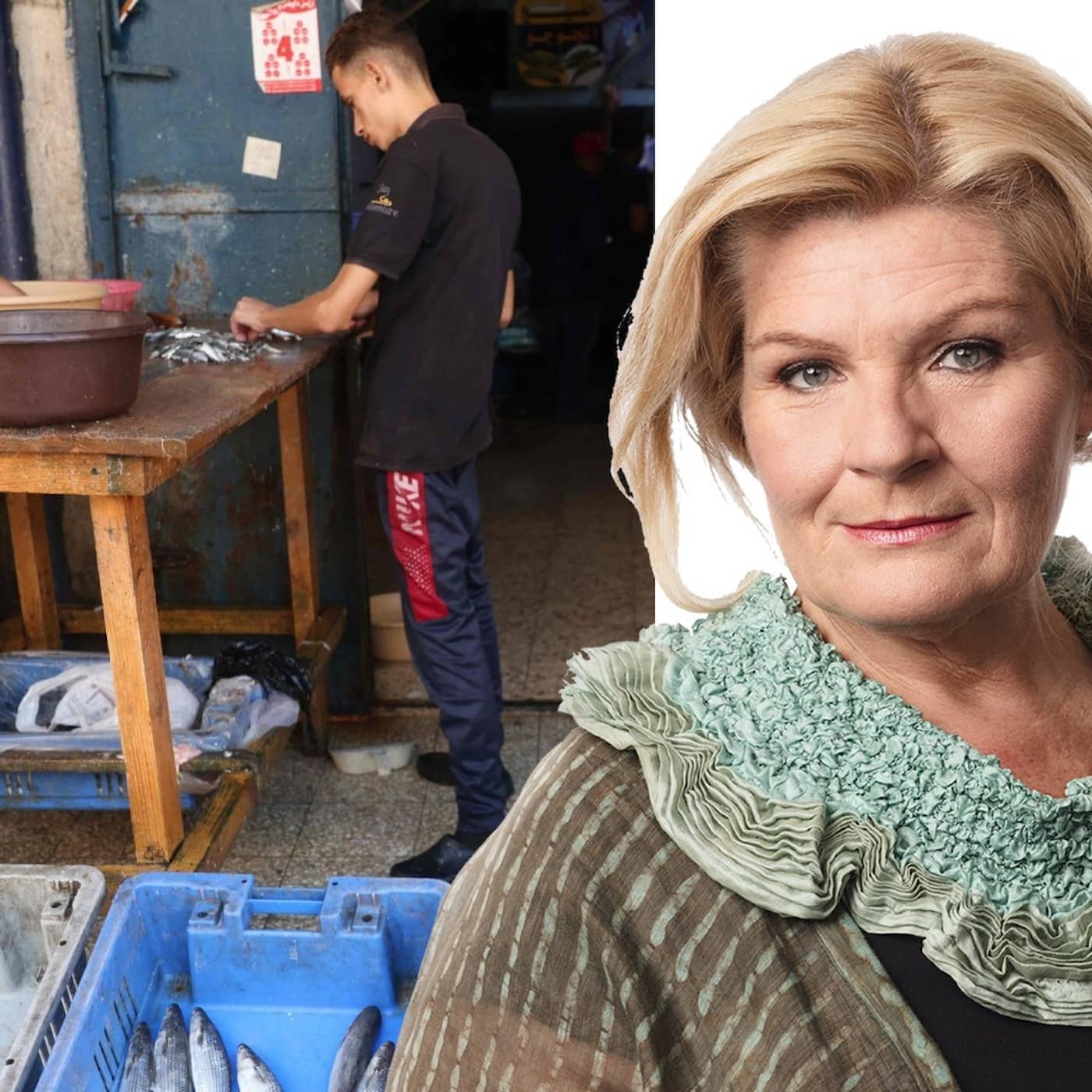 Om Sverige-Israel och vad är antisemitism? artwork