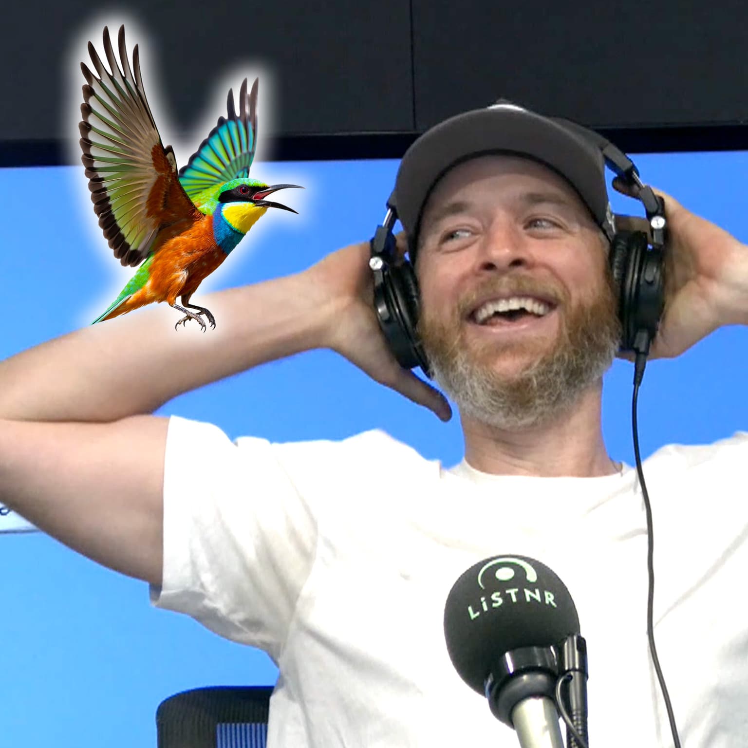 2025 Ep 294 - The Relationship Bird Test artwork