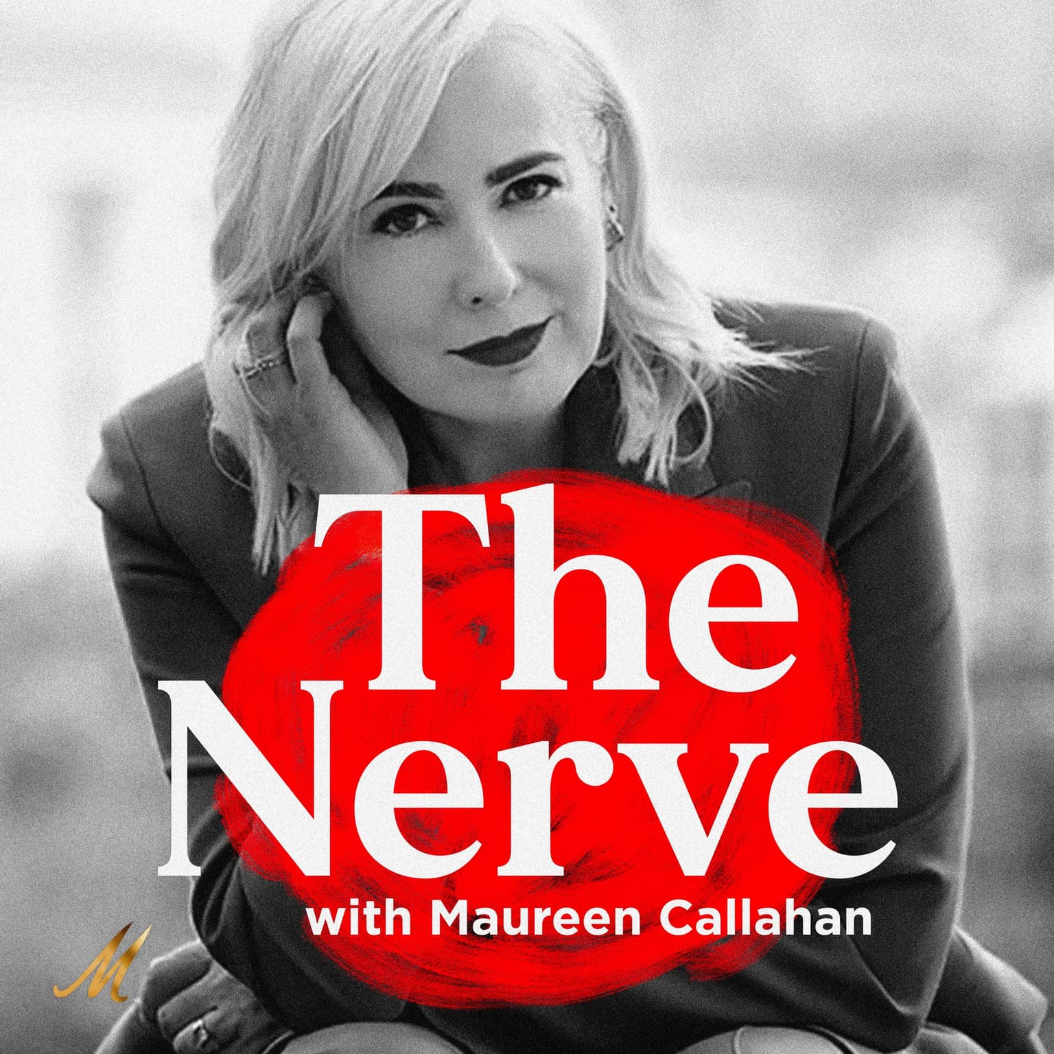 Meghan Markle, Ryan Reynolds, Oprah and Others Compete with Fellow Offenders at The Nerve Awards! artwork