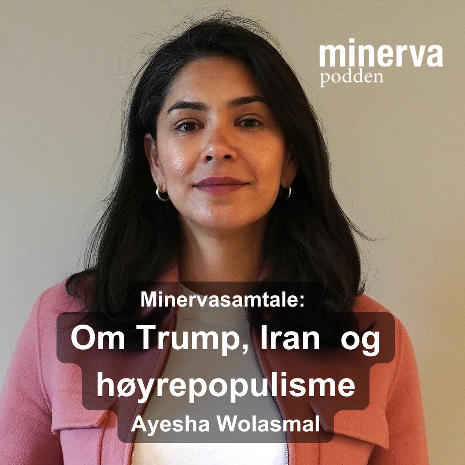 Å forstå og forklare verden i en ny tid: Minervasamtale med Ayesha Wolasmal artwork