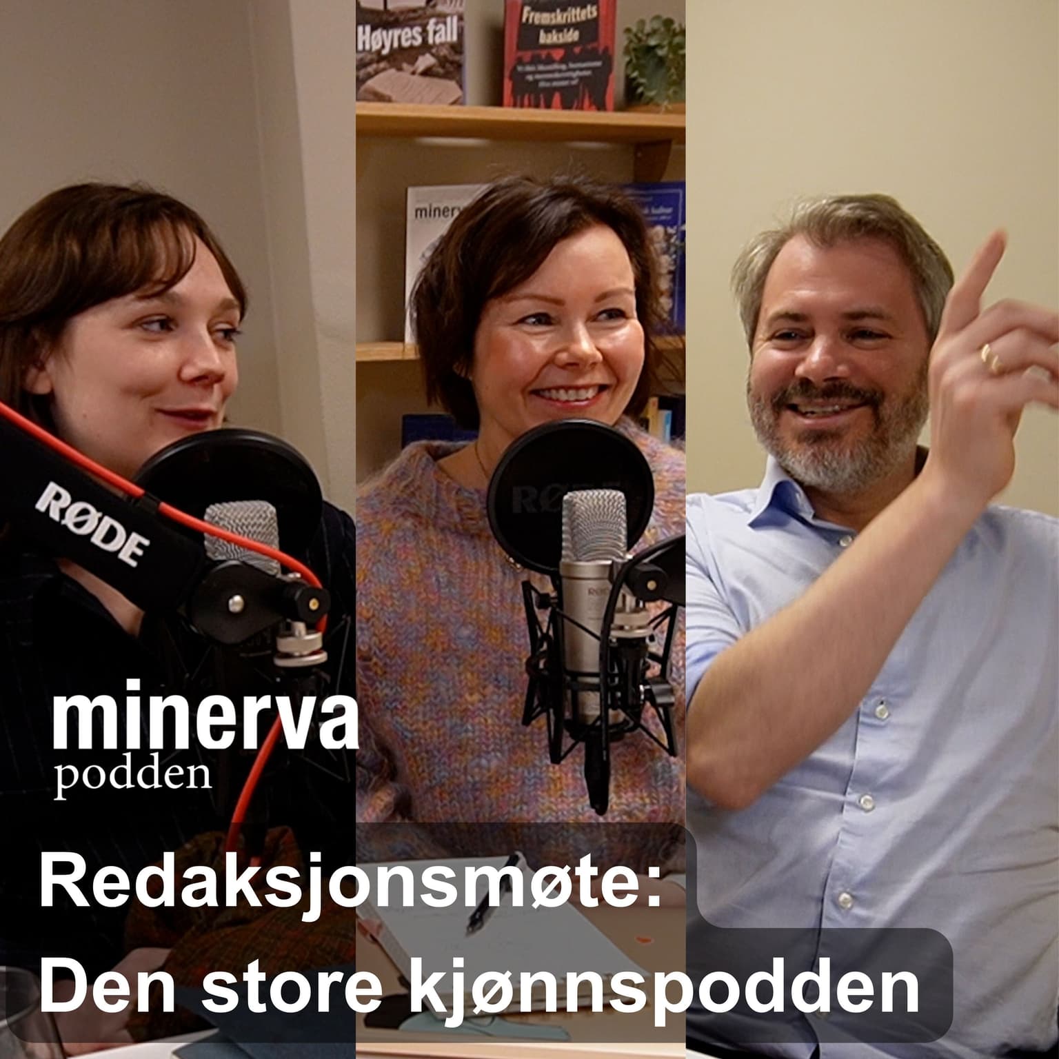 Redaksjonsmøte: Den store kjønnspodden artwork