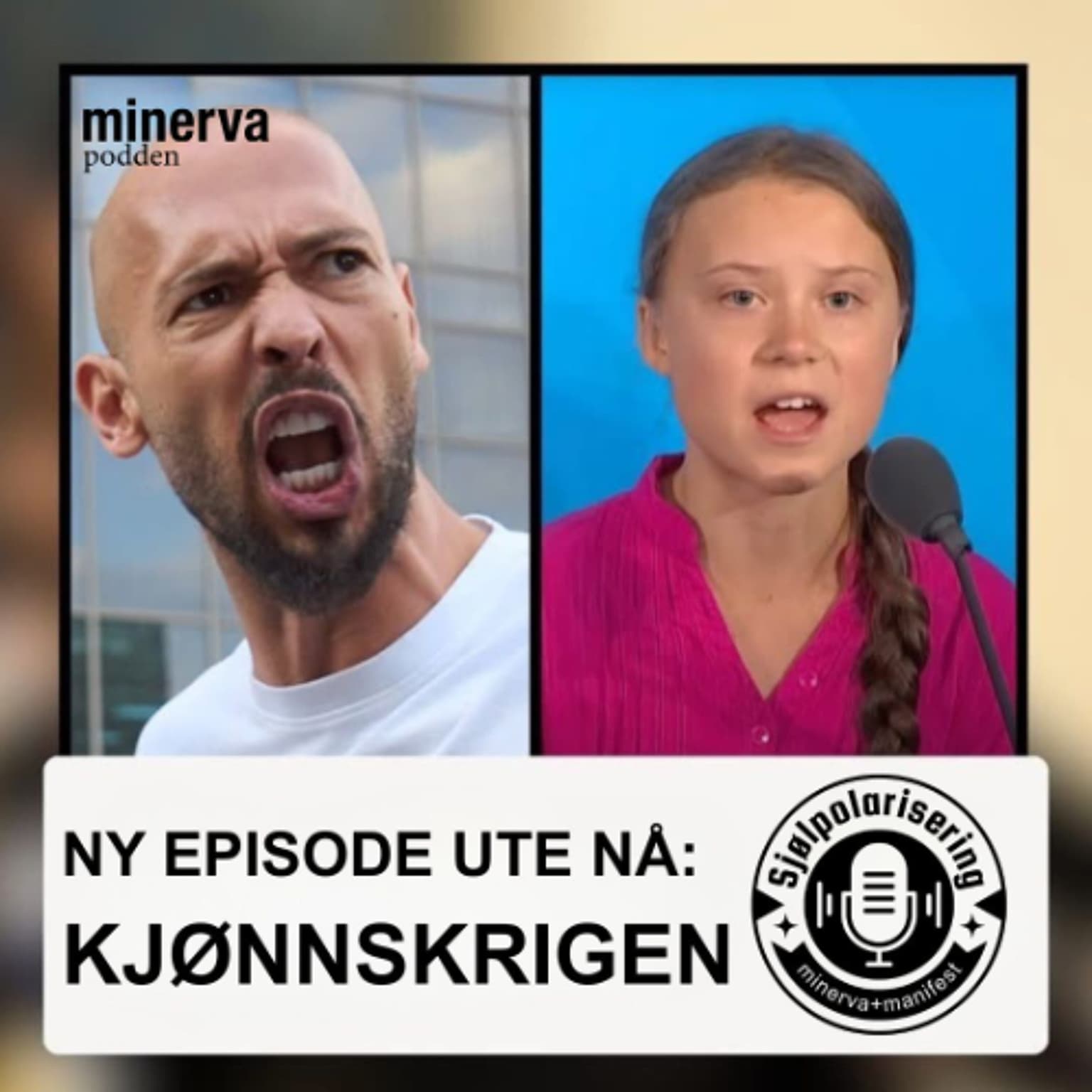 Minervapodden: Sjølpolarisering – Kjønnskrigen artwork