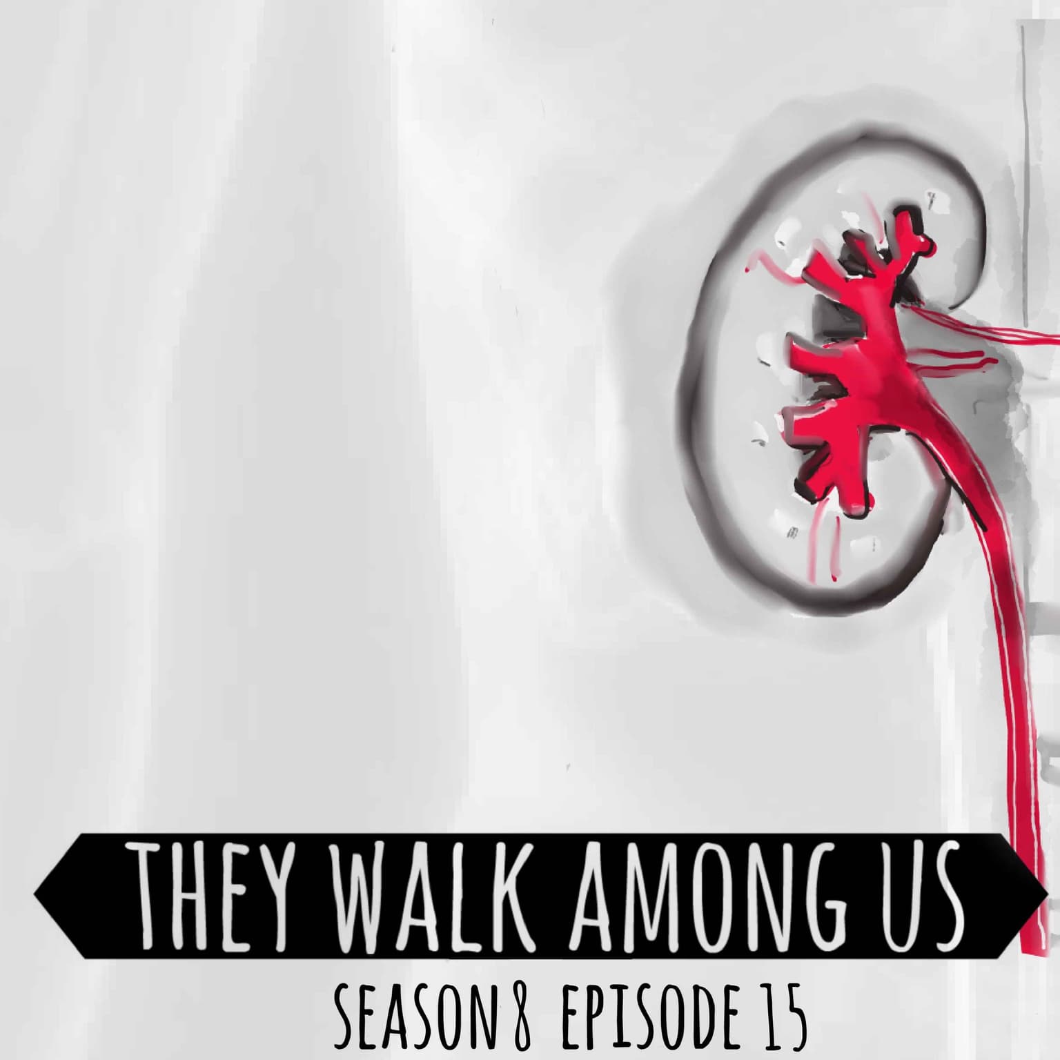 Organ Harvesting Scheme / Ike Ekweremadu & Dr Obinna Obeta artwork