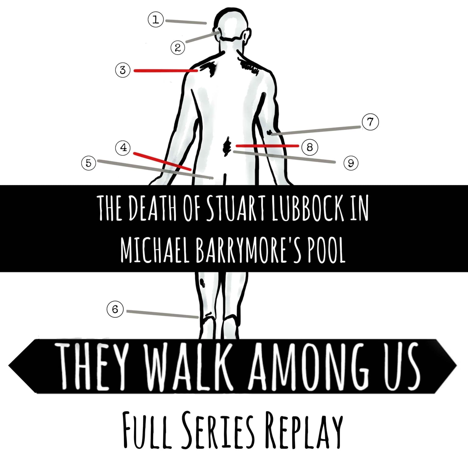 REPLAY - The Death Of Stuart Lubbock In Michael Barrymore's Pool (Full Series) artwork