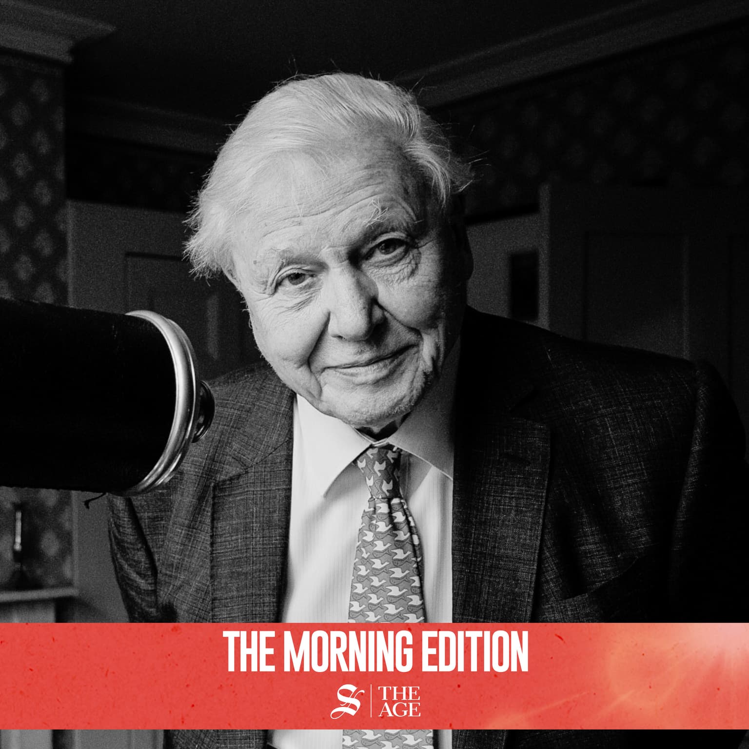 David Attenborough is 100. His legacy may be very different than you think artwork
