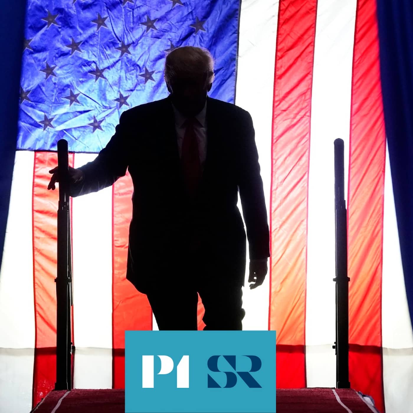 Trumps skugga över den amerikanska demokratin artwork