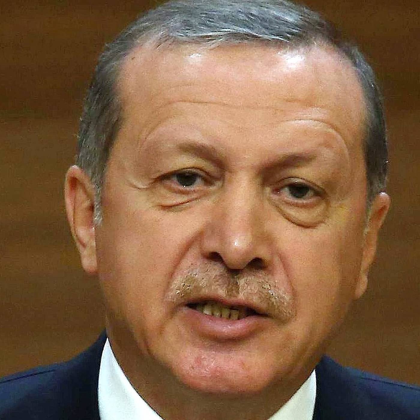 I huvudet på Tayyip Erdoğan artwork