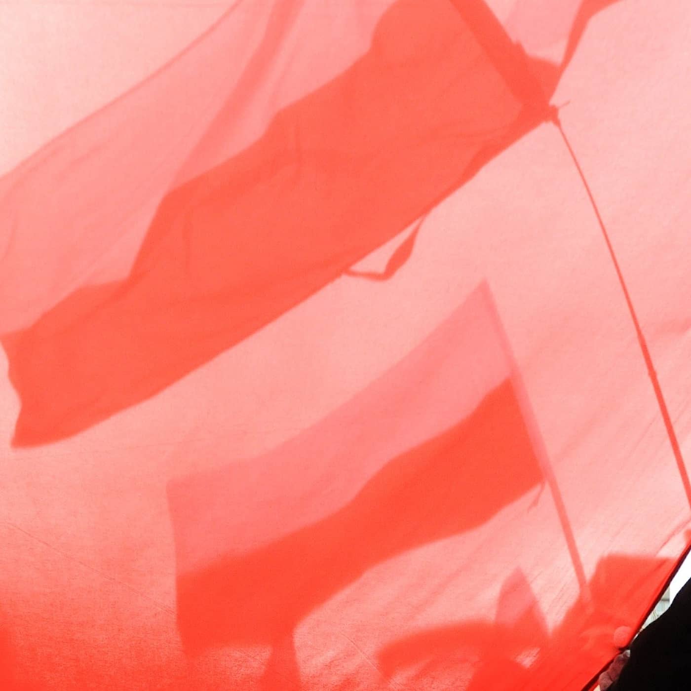Kaczyński och den polska demokratin artwork