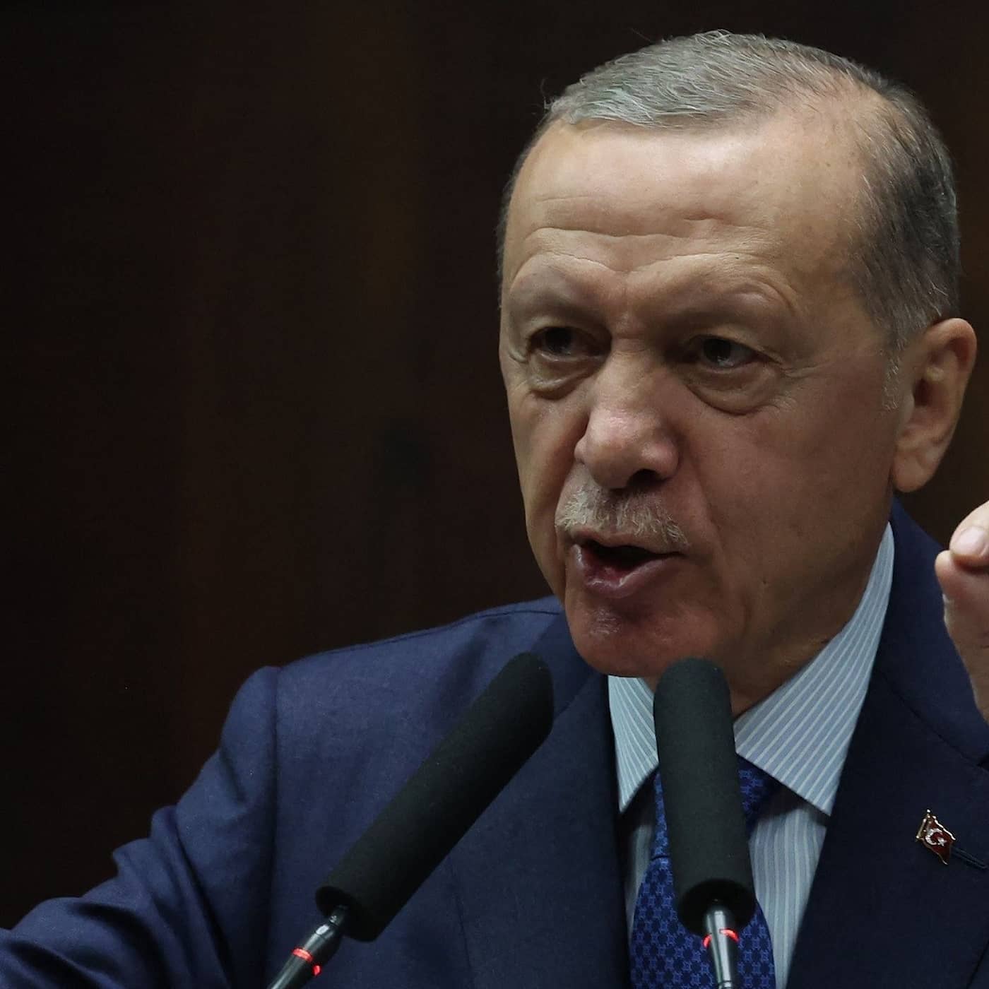 Sverige i Erdoğans grepp under ett år artwork