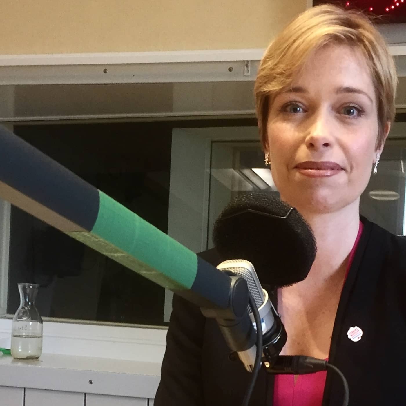 Hur ska dom sjuka komma tillbaka, Annika Strandhäll (S) artwork