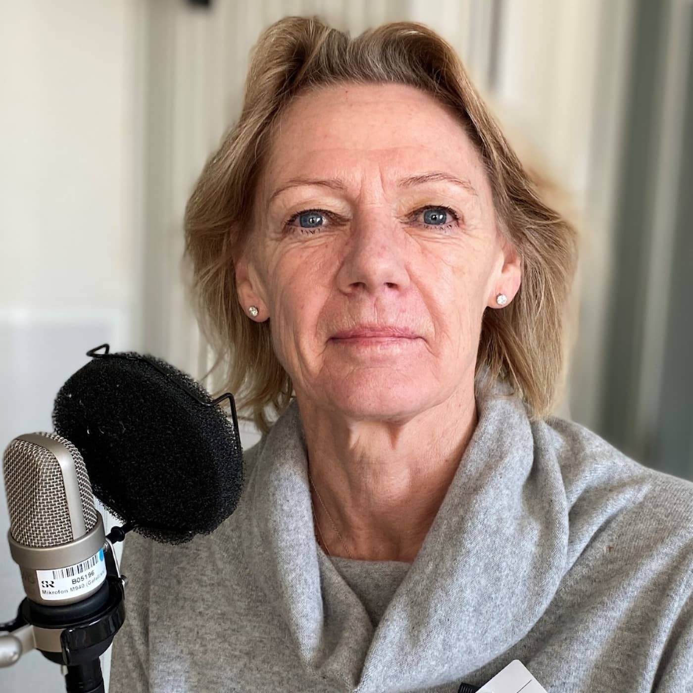 Ulla Hamilton om friskolornas köer, skolpeng och vinster artwork