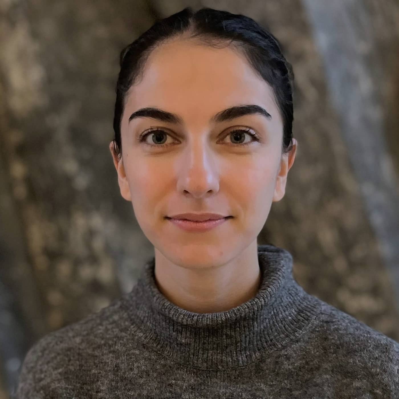Romina Pourmokhtari (L): Utsläppen i år ökar mer än vi bedömt i våra beräkningar artwork
