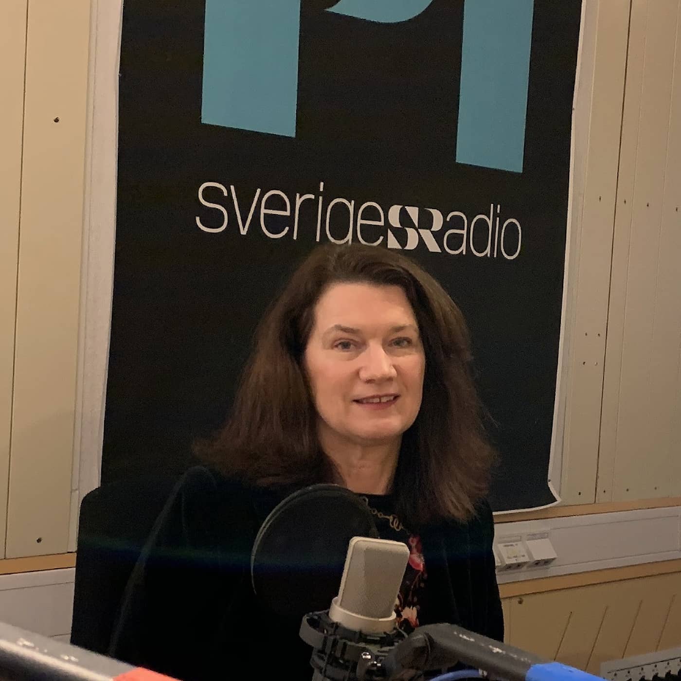 Fungerar den tysta diplomatin, Ann Linde (S)? artwork