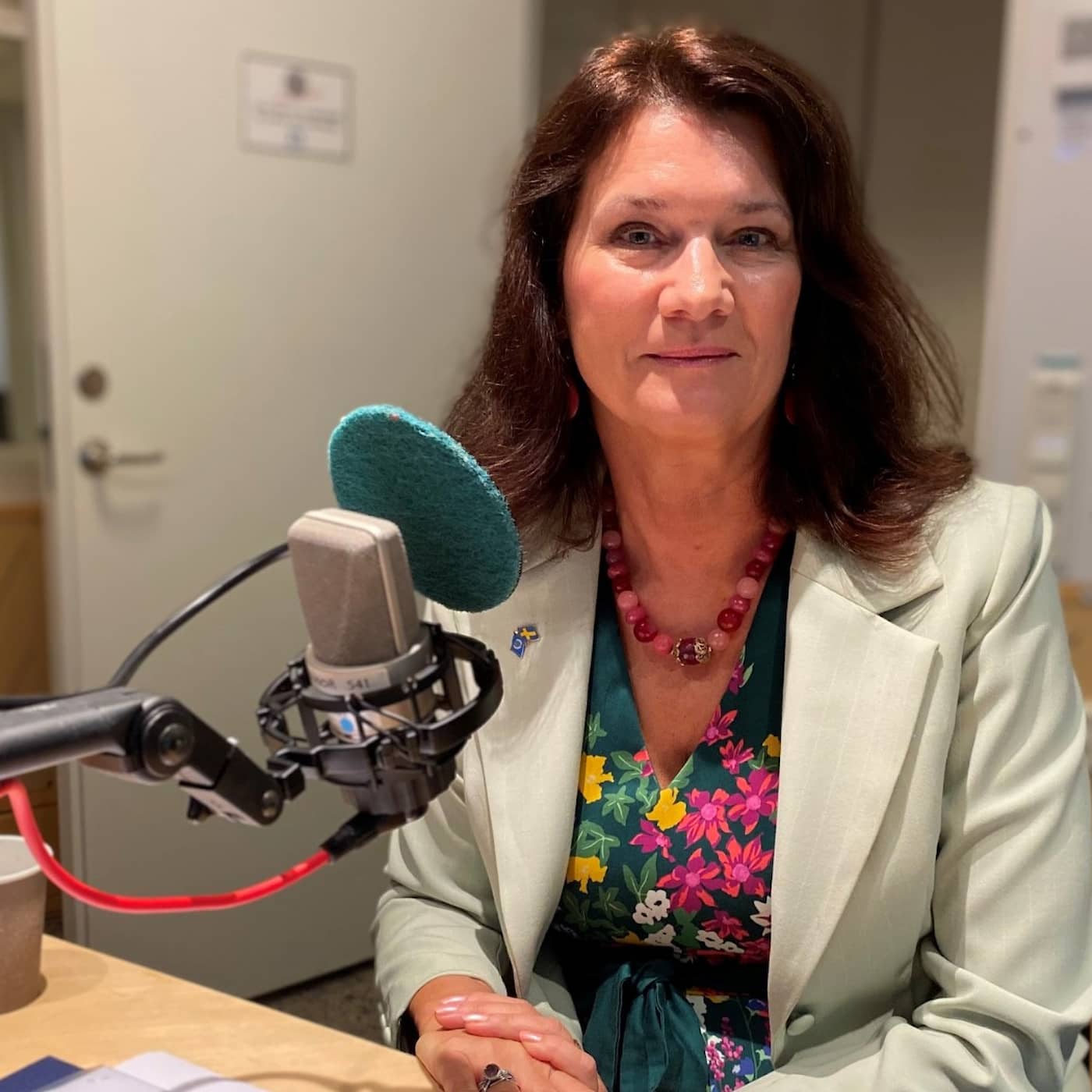 Ann Linde (S) om relationen Sverige och Afghanistan artwork