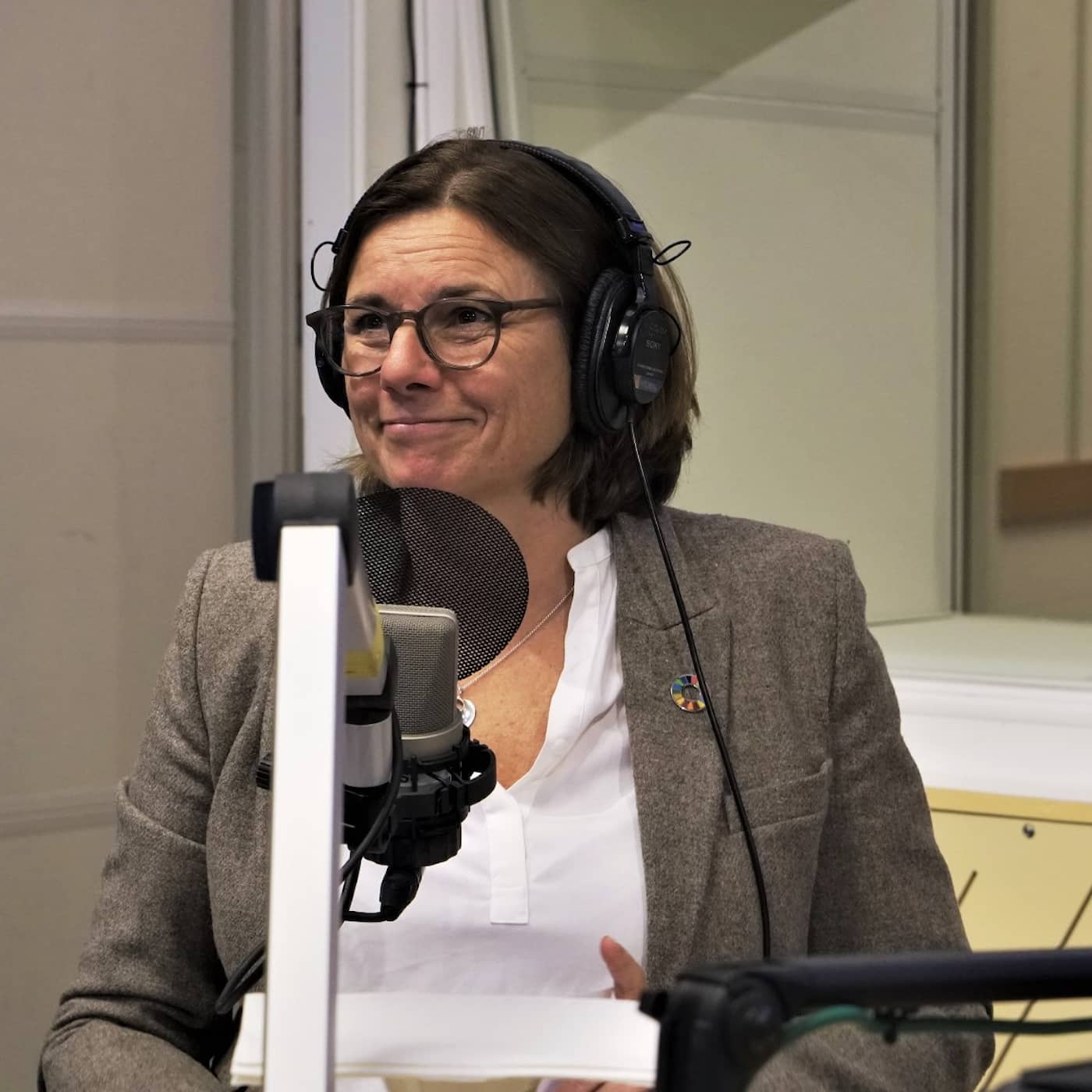 Har regeringsmakten kostat för mycket, Isabella Lövin (MP)? artwork