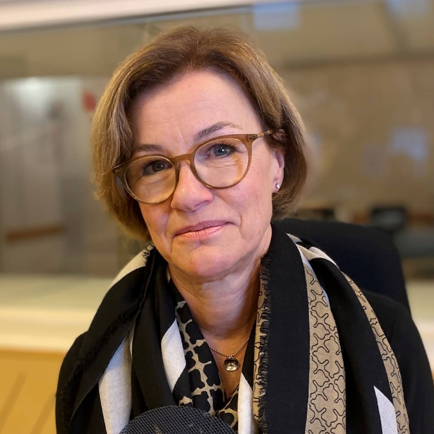 Eva Lindström: Risker när EU-miljarder ska ut snabbt artwork