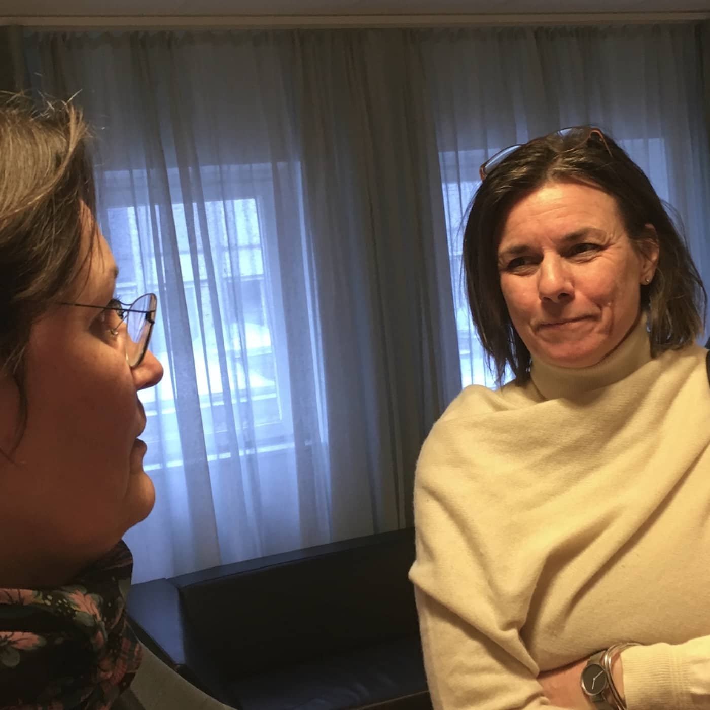 Kan MP resa sig, Isabella Lövin? artwork