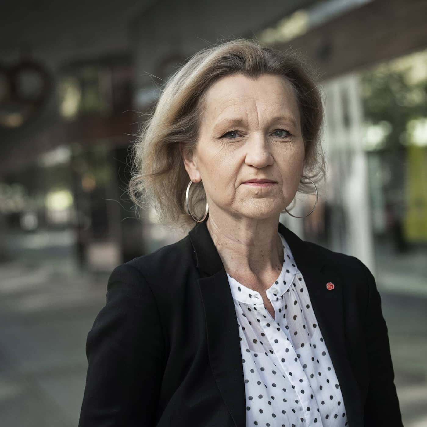 Boel Godner (S) - är Södertälje en förebild? artwork