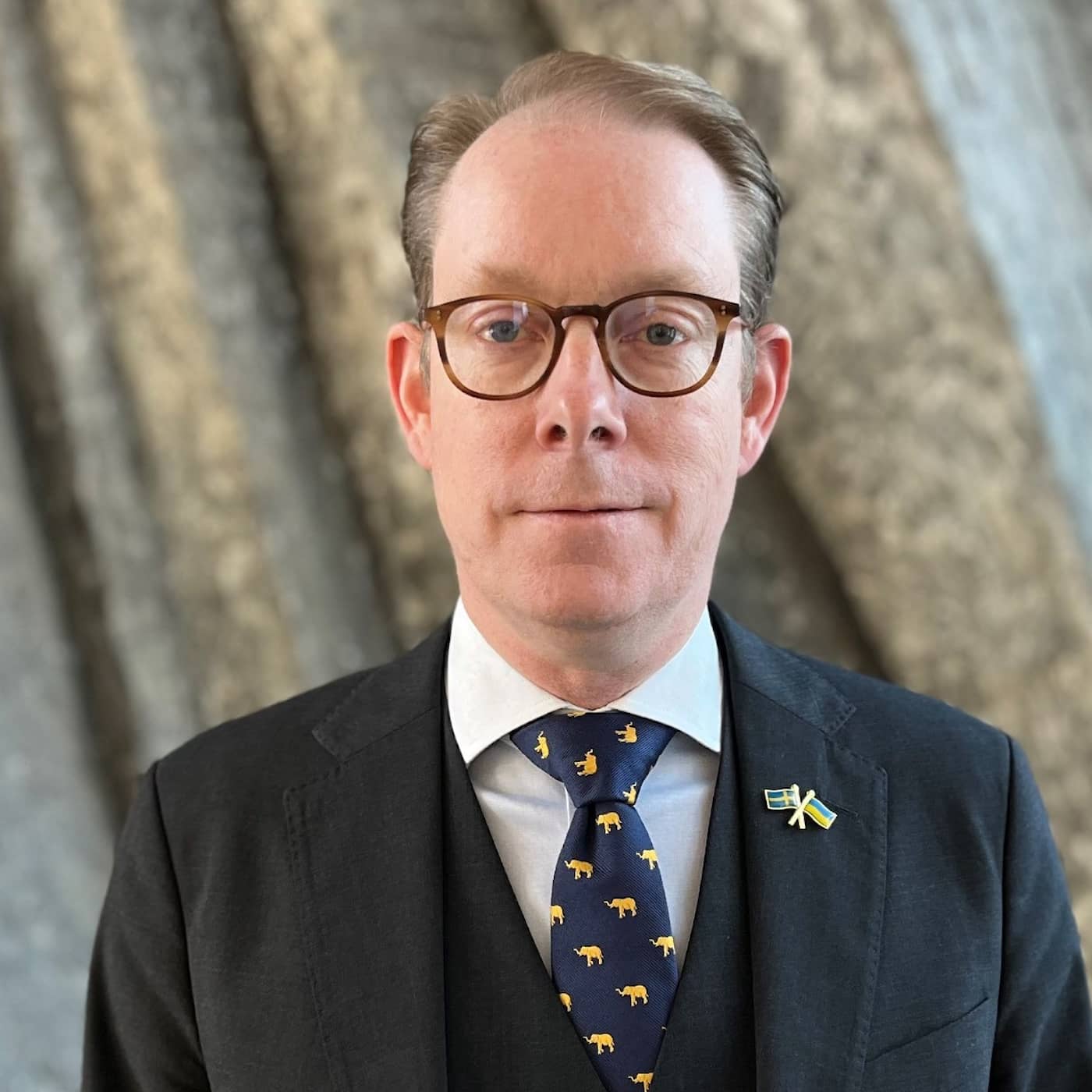 Tobias Billström (M) om antalet civila dödsoffer i Gaza: ”Väcker frågor om den humanitära rätten har efterlevts” artwork