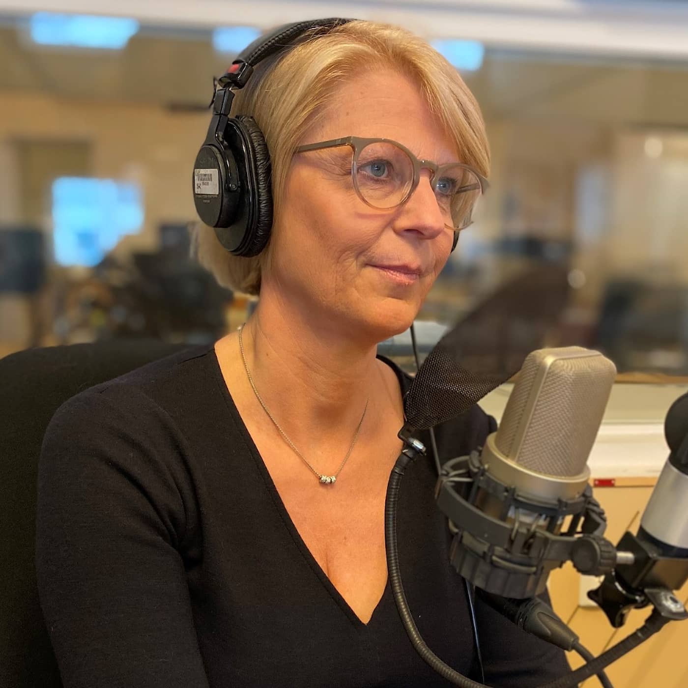 Vilken politik blir det efter nästa val, Elisabeth Svantesson (M)? artwork