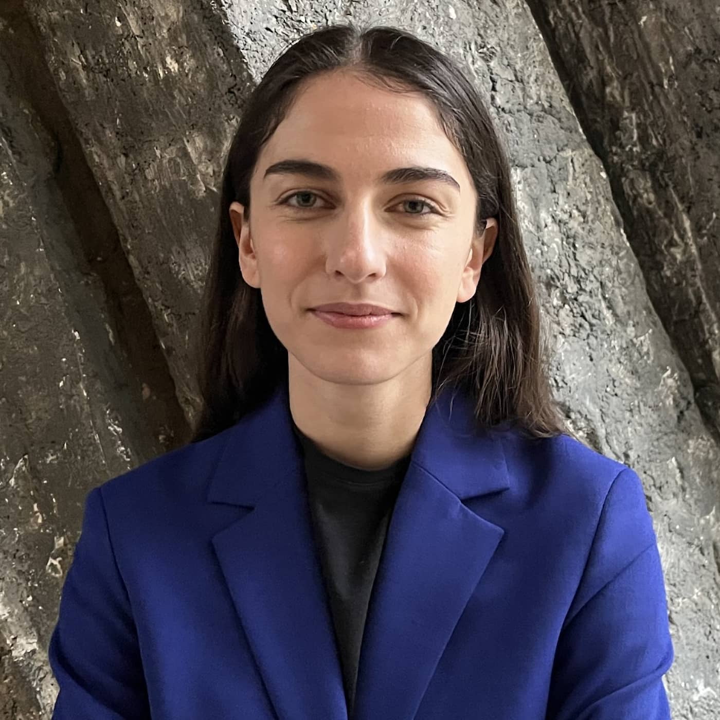 Romina Pourmokhtari (L): Finns inte ett magiskt verktyg som löser klimatkrisen artwork