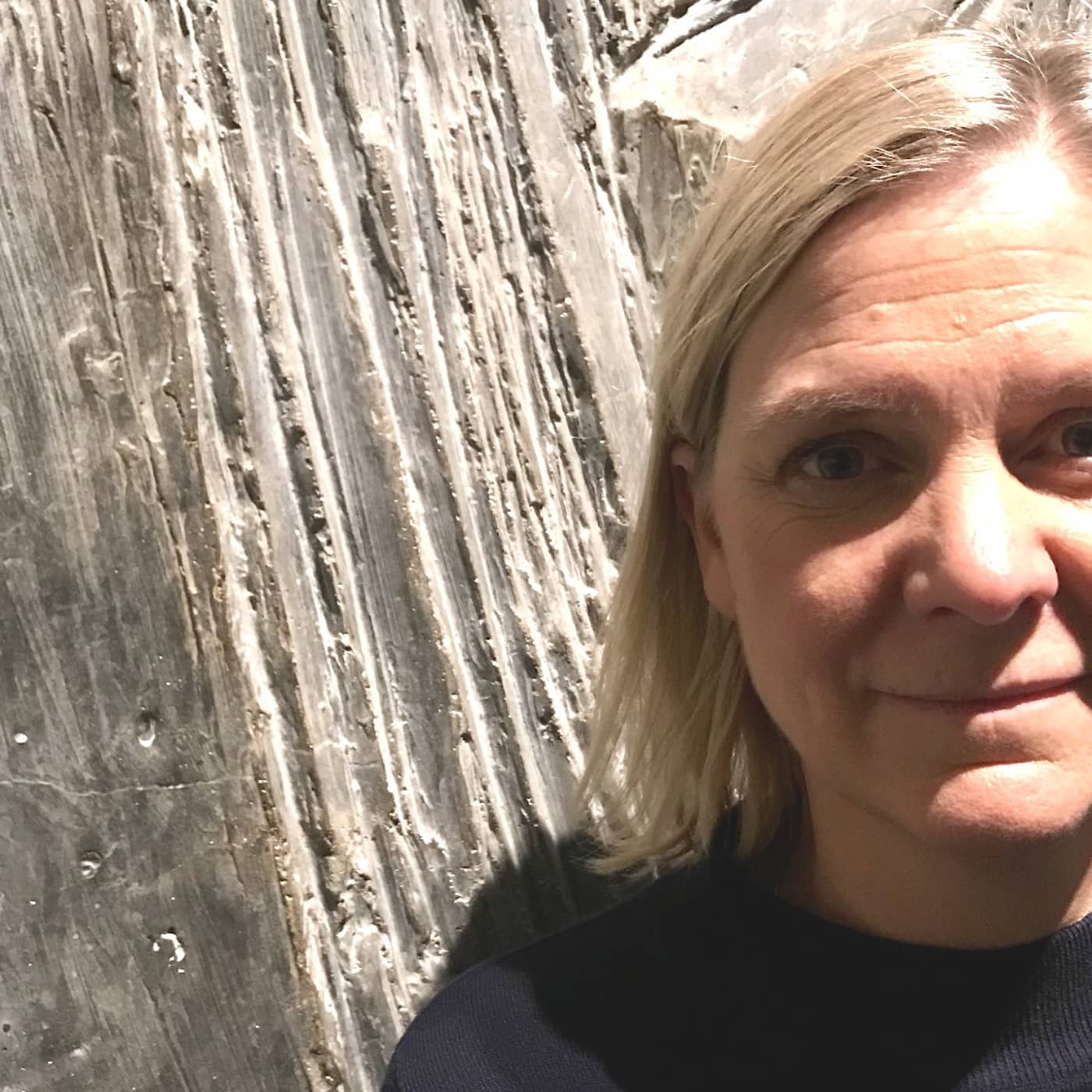 Är priset för samarbetet för högt, Magdalena Andersson (S)? artwork