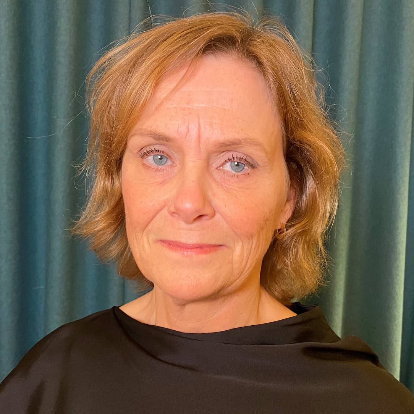 Svenska kraftnät: I värsta fall kopplar vi ifrån elen artwork