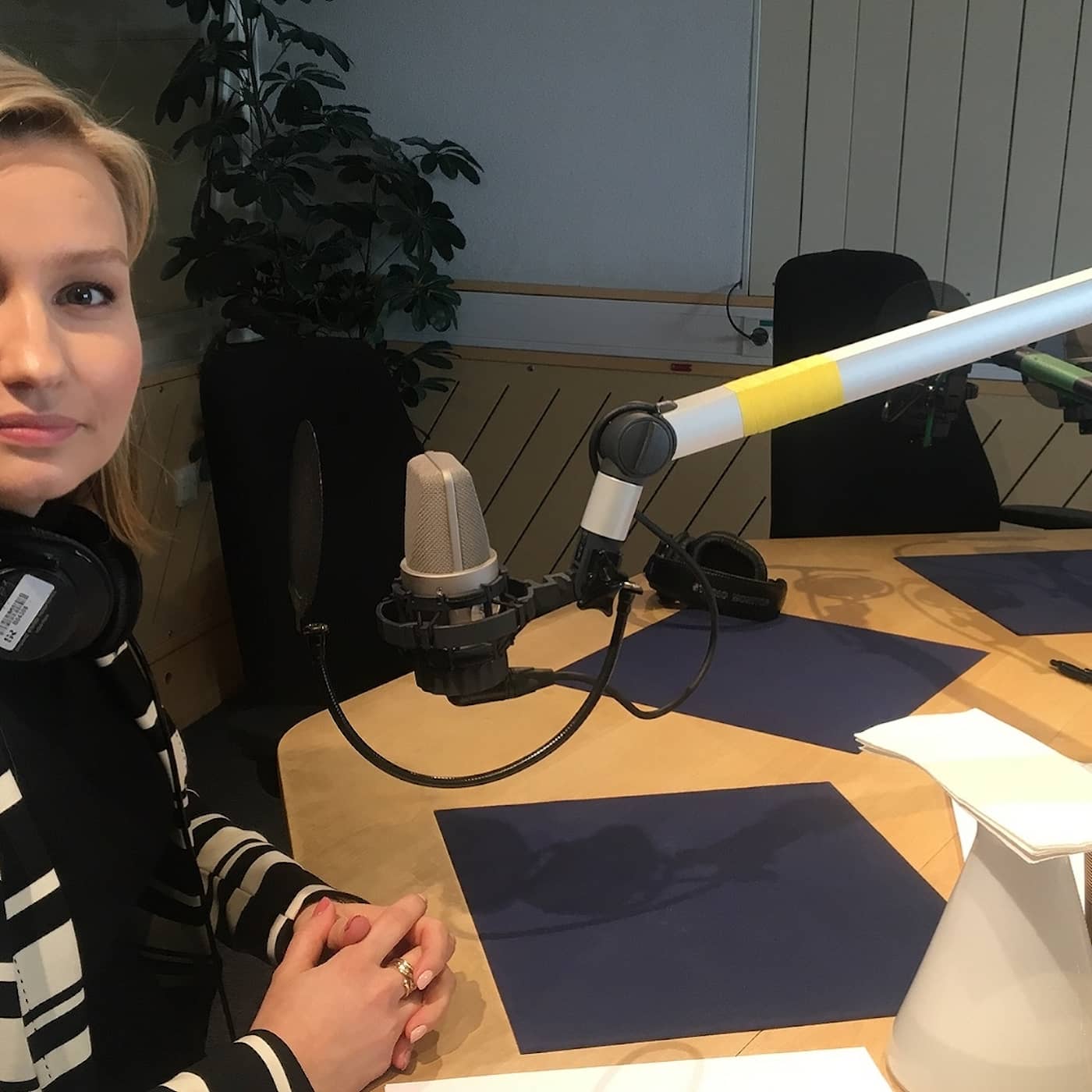 Hur ska du klara 4%-spärren, Ebba Busch Thor (KD)? artwork