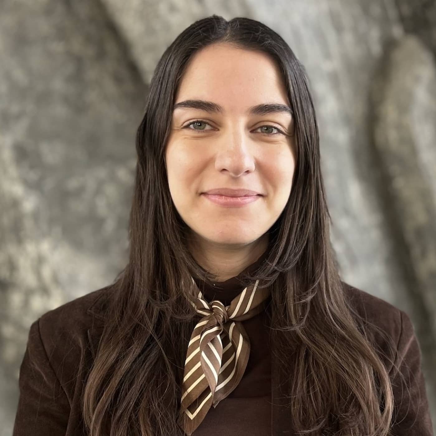 Romina Pourmokhtari (L): ”Vi är inte färdiga med klimatarbete i Sverige” artwork