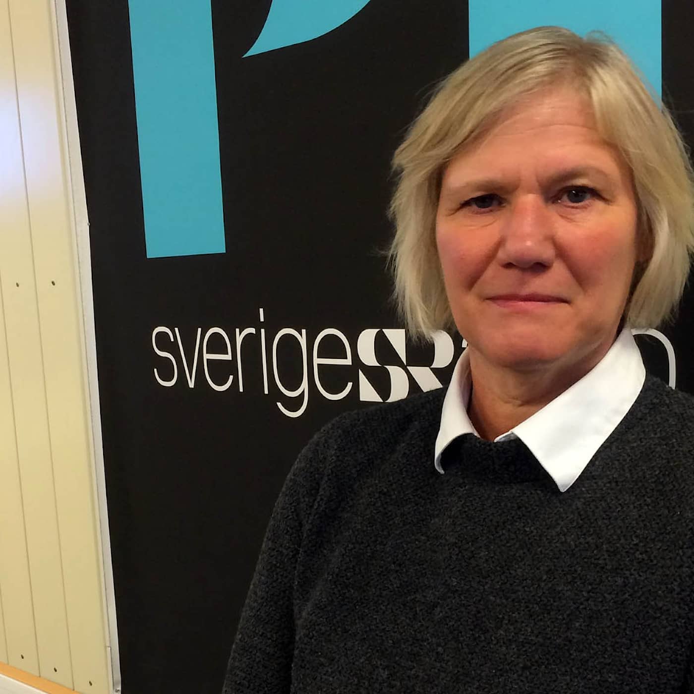 Ann-Marie Begler, hur få ner sjuktalen? artwork