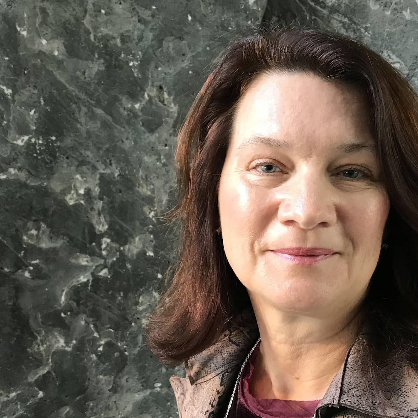 Ekots lördagsintervju med Ann Linde (S) artwork