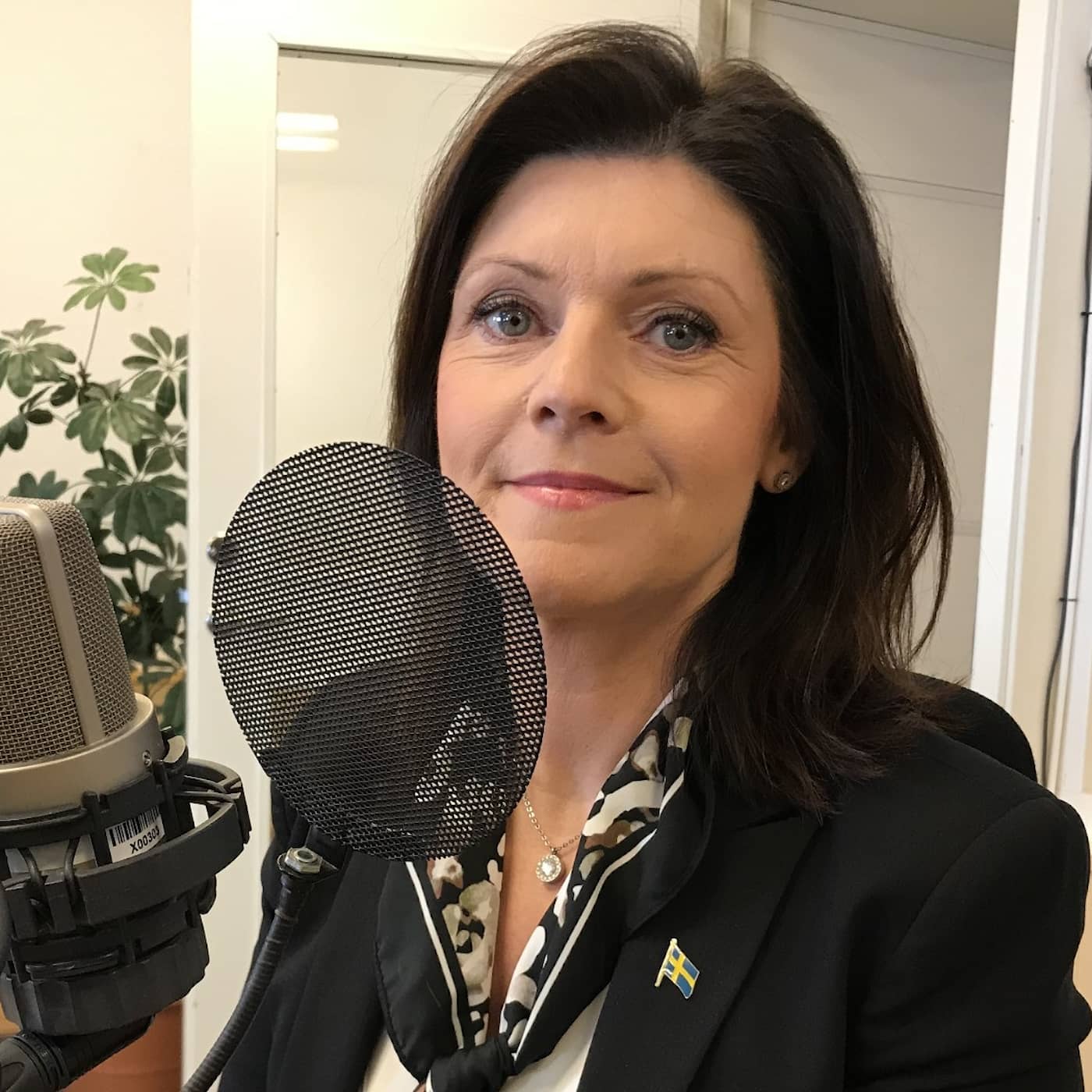 Kan regeringen rädda jobben, Eva Nordmark (S)? artwork