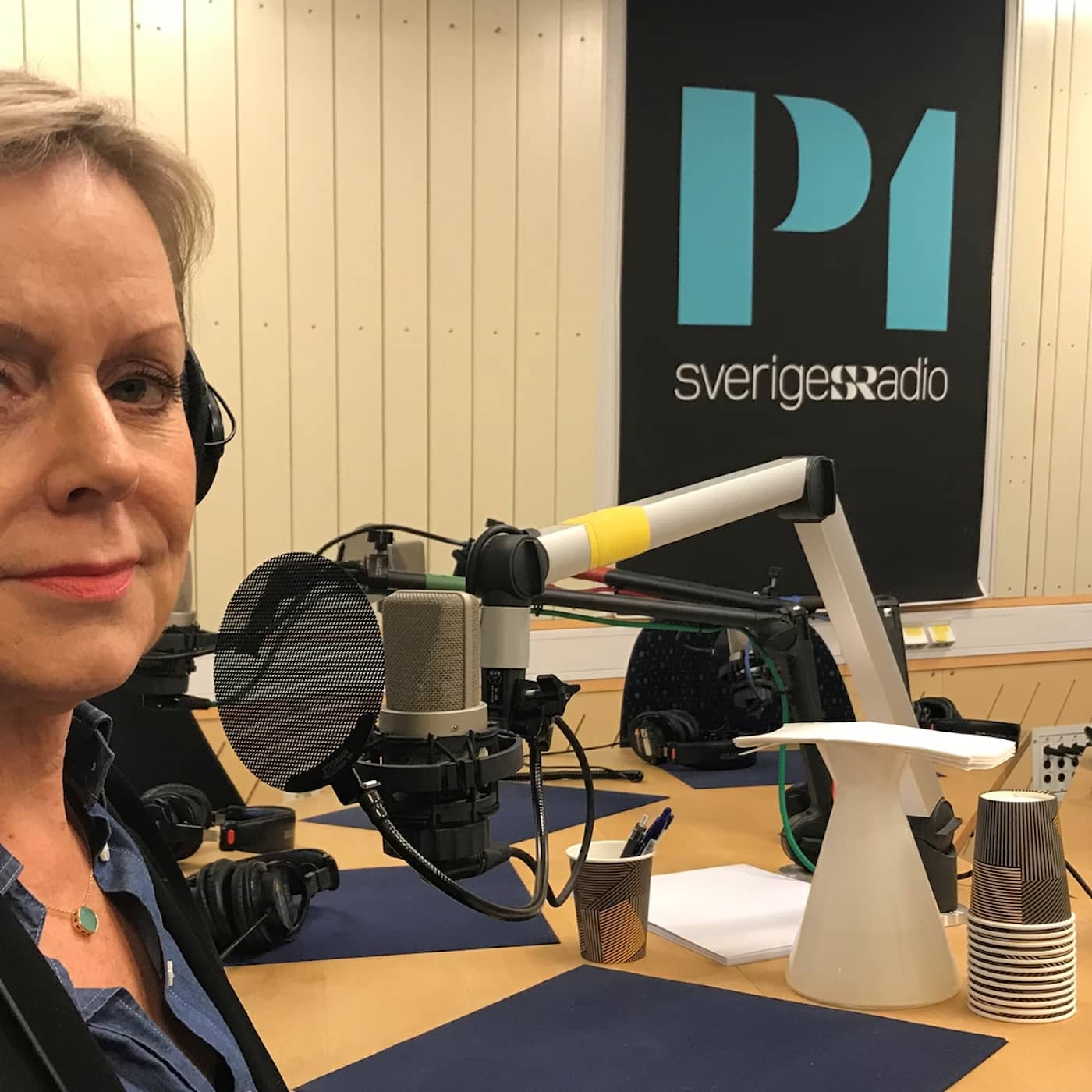 Ekots lördagsintervju med Lena Ag, Jämställdhetsmyndigheten artwork