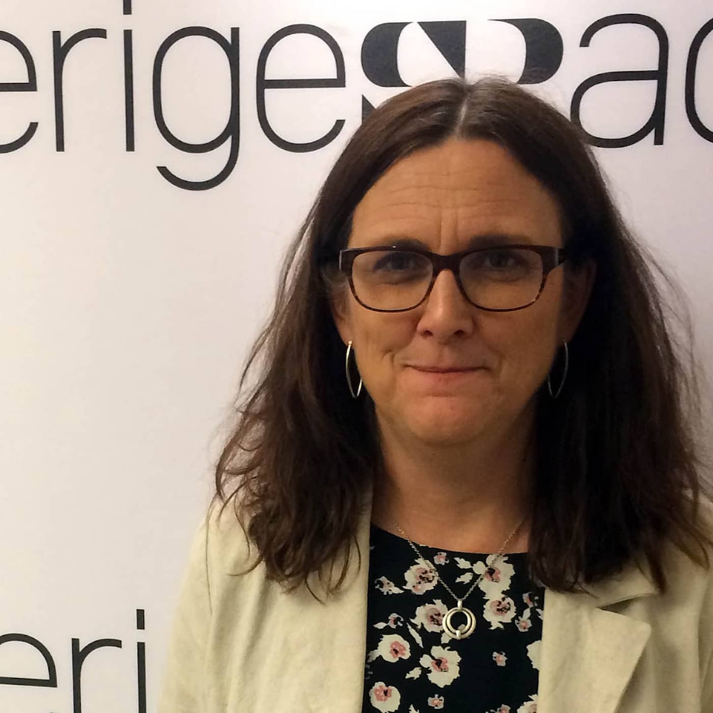 Cecilia Malmström om krisernas EU artwork