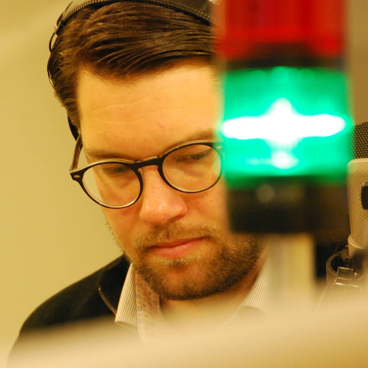 Ekots lördagsintervju Jimmie Åkesson (SD), partiledare artwork