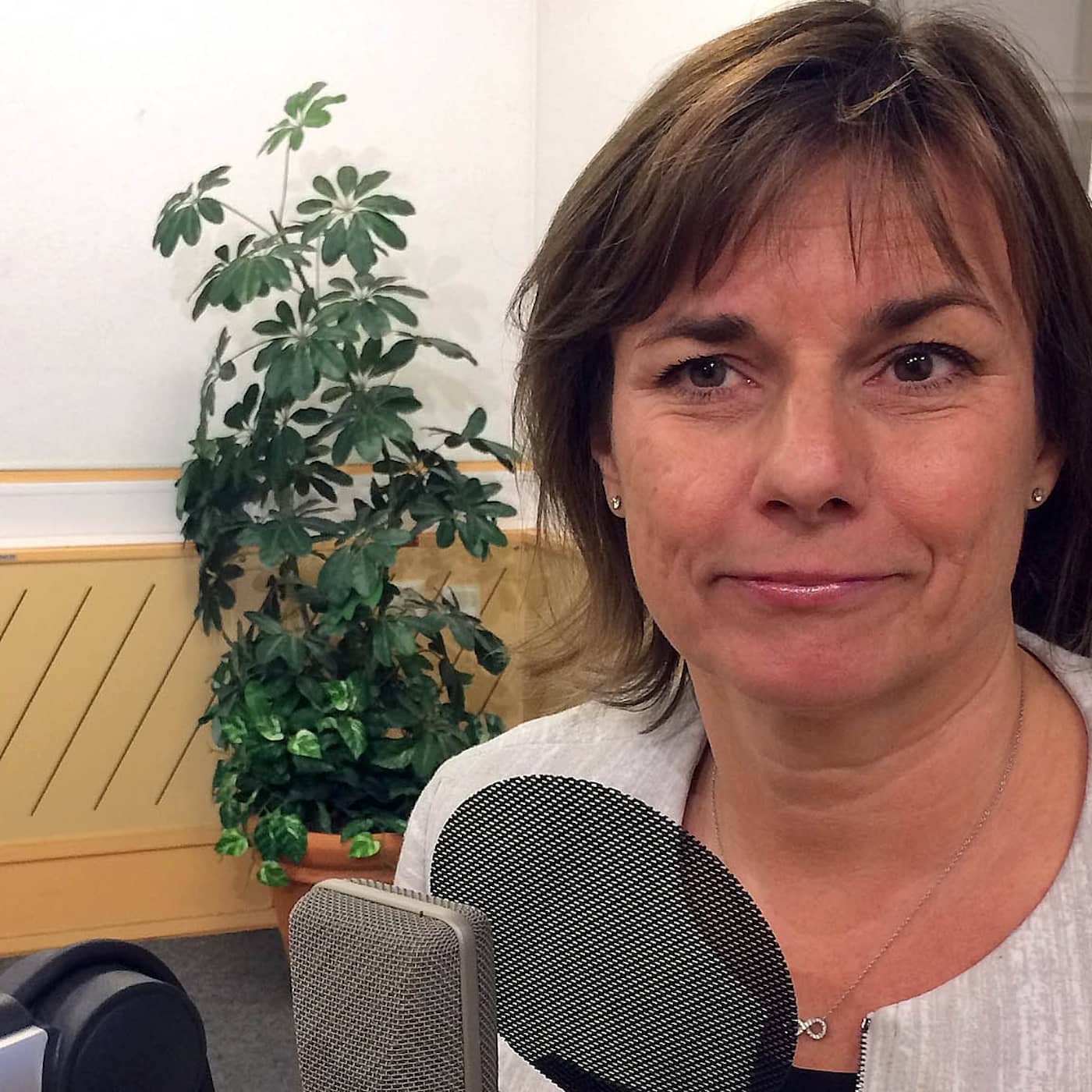 Isabella Lövin (MP) om krisen i partiet artwork