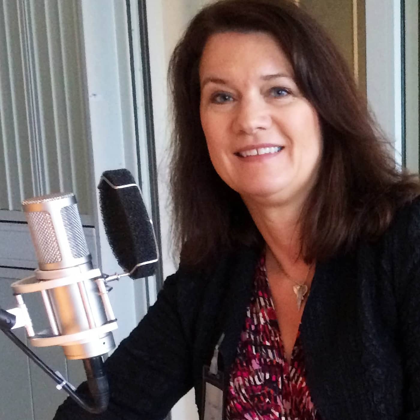 Ann Linde om EU:s dilemman artwork