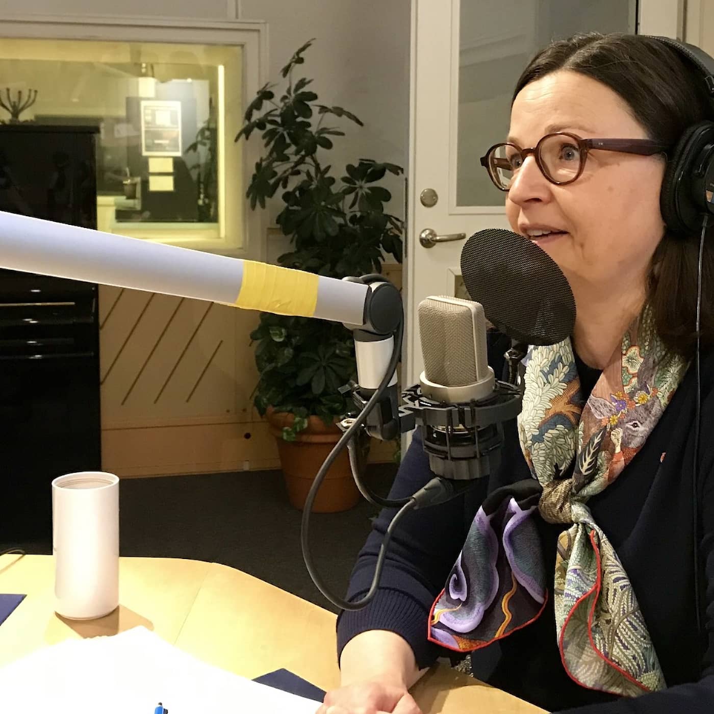 Ekots lördagsintervju med utbildningsminister Anna Ekström (S) artwork